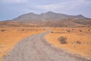 Scenic road view photo