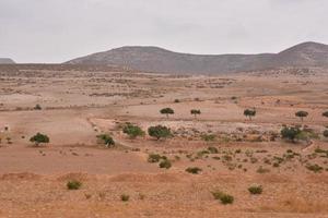 Scenic desert view photo