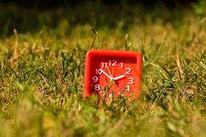 Clock in the grass photo