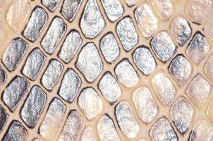 Reptile scale texture photo