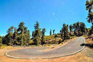 Winding road along the trees photo