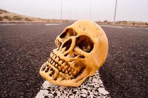 Small skull on the road photo