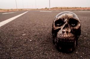 Small skull on the road photo