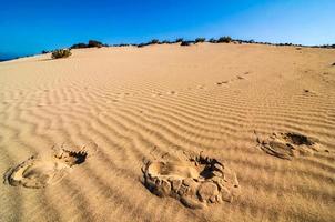 Footprints in the sand photo