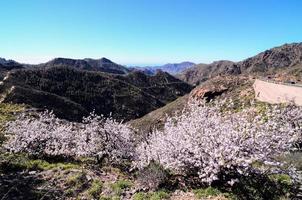 Scenic mountain landscape photo