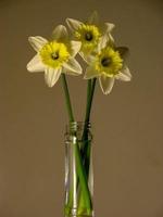 Vase with yellow flowers photo