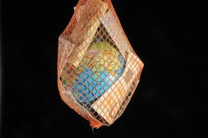 Globe and money in a net photo