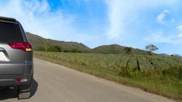 posterior lado de gris coche conducción en asfalto la carretera. detener en el interior la carretera con giro Derecha señal a día. junto a la carretera con borroso de piña plantación y distante montañas debajo azul cielo. foto