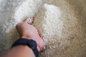 rice on hand for background. photo