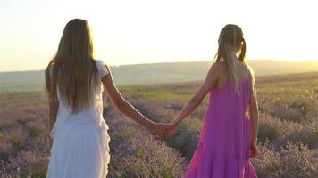 meninas no campo de flores de lavanda ao pôr do sol em vestido branco video