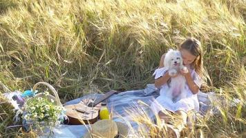 Lycklig barn i vete fält spela med hund video