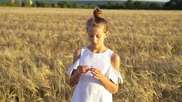 adorable niña preescolar caminando alegremente en el campo de trigo en un cálido y soleado día de verano video