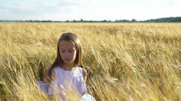 adorável menina pré-escolar caminhando alegremente no campo de trigo em um dia quente e ensolarado de verão video