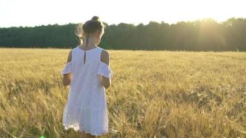 adorable niña preescolar caminando alegremente en el campo de trigo en un cálido y soleado día de verano video