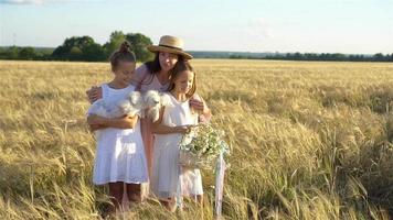 Happy family playing in a wheat field video