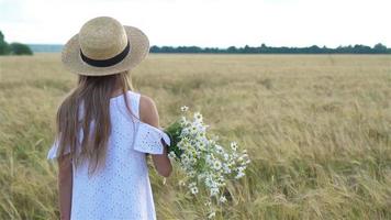 hermosa niña en trigo campo con un ramo de flores de manzanilla en manos video