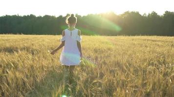 adorable niña preescolar caminando alegremente en el campo de trigo en un cálido y soleado día de verano video