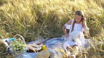 Beautiful little girl in wheat field with ripe wheat in hands video