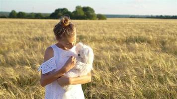 criança feliz no campo de trigo. linda garota de vestido branco com um chapéu de palha com trigo maduro nas mãos video