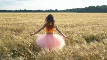 adorable niña preescolar caminando alegremente en el campo de trigo en un cálido y soleado día de verano video