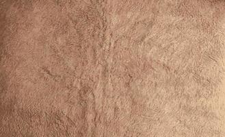 Realistic vector illustration of background picture of a soft fur beige carpet. Wool sheep fleece closeup texture background. Top view.