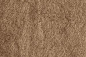 Realistic vector illustration of background picture of a soft fur beige carpet. Wool sheep fleece closeup texture background. Top view.