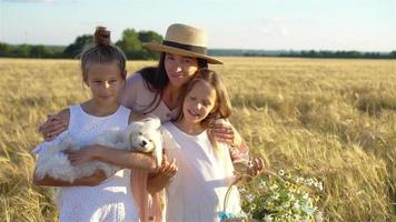 contento famiglia giocando nel un' Grano campo video