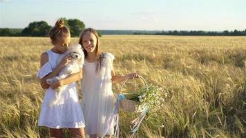 Happy girls in wheat field. Beautiful girls in white dresses outdoors video