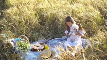 niño feliz en el campo de trigo juega con el perro video