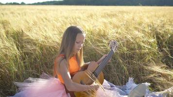 adorable fille d'âge préscolaire dans un champ de blé le jour d'été chaud et ensoleillé video