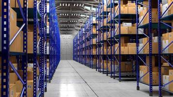 Packages on Shelves in Warehouse - Logistics, Shipping, Storage Concept. video