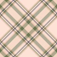 Plaid pattern vector. Check fabric texture. Seamless textile design for clothes, paper print. vector