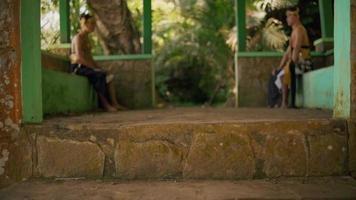 zwei asiatisch Männer meditieren während Sitzung gegenüber jeder andere Innerhalb das Pavillon umgeben durch das Baum video
