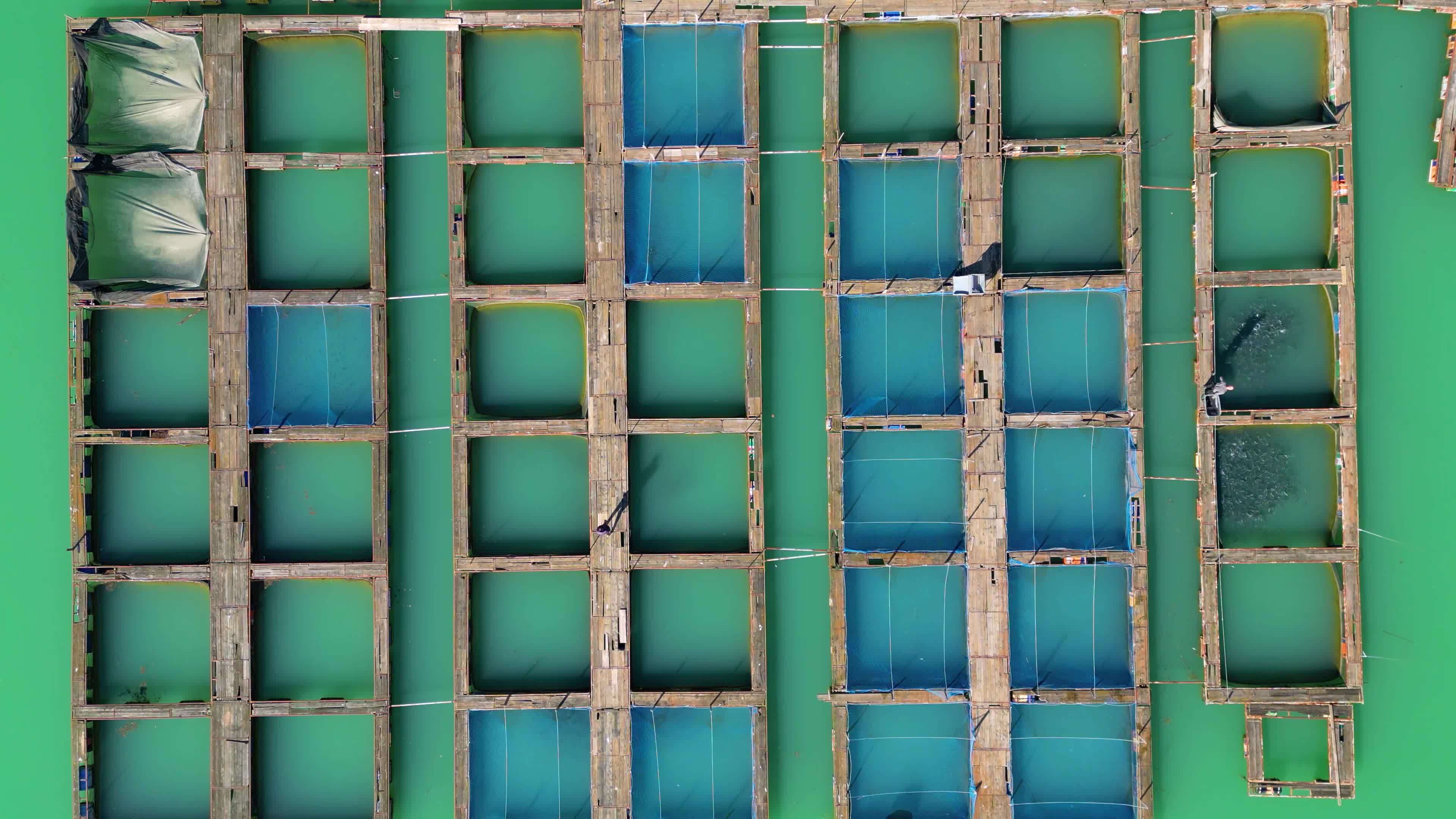 Aerial Drone View Of Fish Farm Fish Farming Is A Form Of Aquaculture 