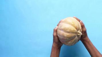 hand- houdt een klein pompoen tegen blauw achtergrond video