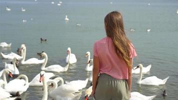 menina sentada na praia com cisnes video