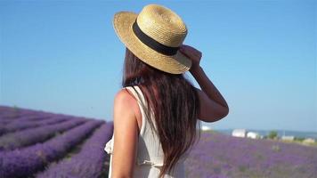 mulher no campo de flores de lavanda ao pôr do sol em vestido branco e chapéu video