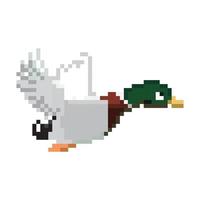 8bit pixels Art duck vector, duck pixel art design vector