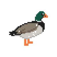 8bit pixels Art duck vector, duck pixel art design vector