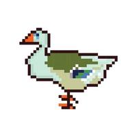 8bit pixels Art duck vector, duck pixel art design vector