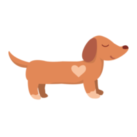 Cute dachshund dog design png