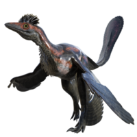 Microraptor dinosaur isolated on transparent png