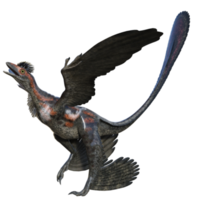 microraptor dinossauro isolado em transparente png