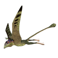 peteinosaurus dinossauro isolado em transparente png