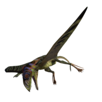 Peteinosaurus Dinosaurier isoliert auf transparent png