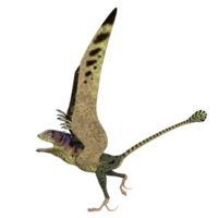 Peteinosaurus dinosaur isolated on transparent png