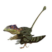 Peteinosaurus Dinosaurier isoliert auf transparent png