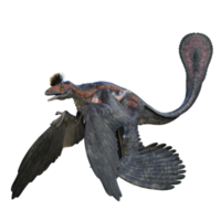 Microraptor dinosaur isolated on transparent png