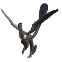 microroofvogel dinosaurus geïsoleerd Aan transparant png