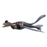 microraptor dinosaure isolé sur transparent png